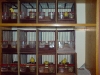 dsc00002.jpg