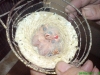 dsc00128.jpg